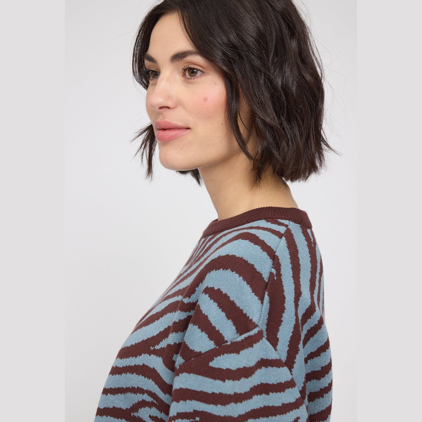 Zebra Strickpullover aus Bio-Baumwolle