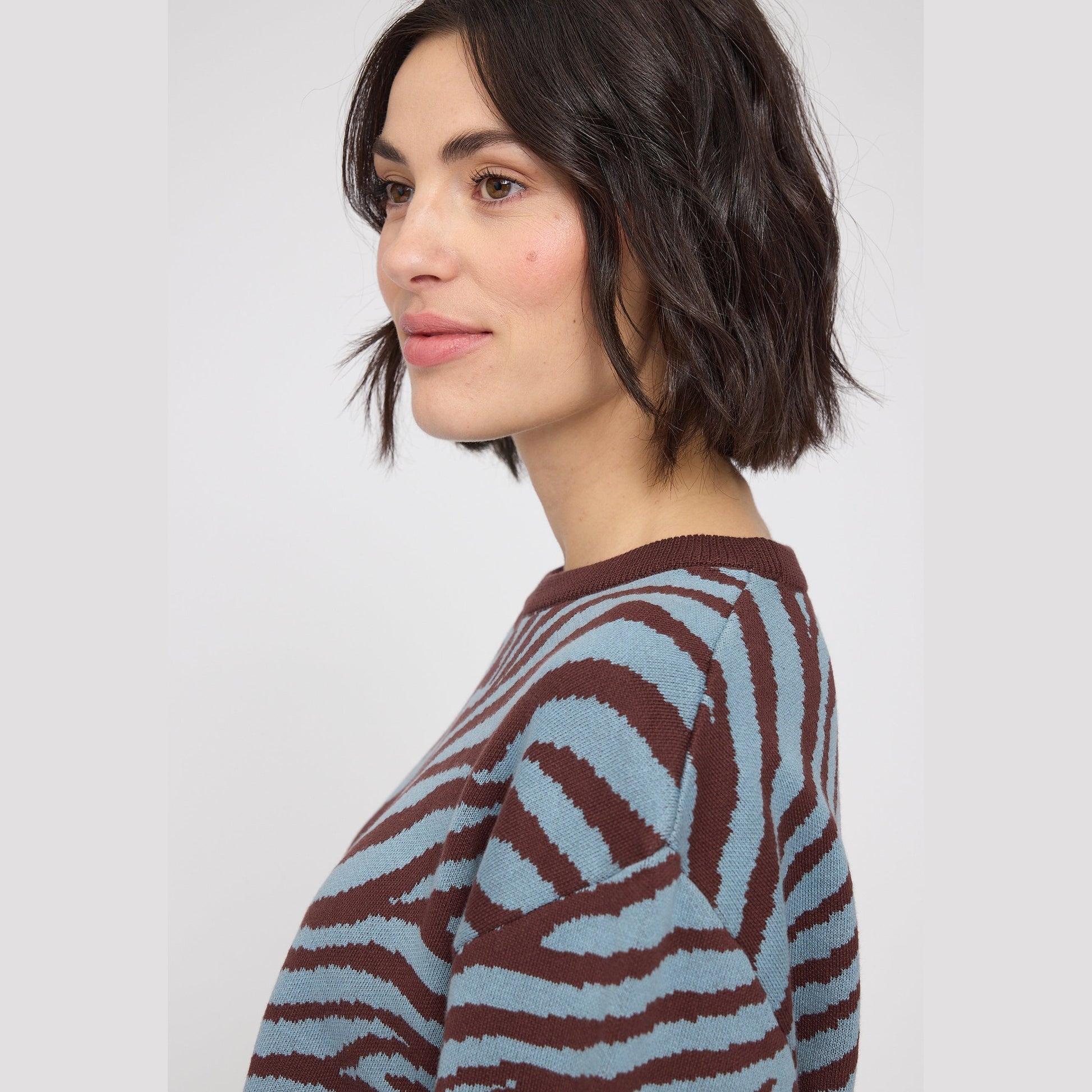 Zebra Strickpullover aus Bio-Baumwolle