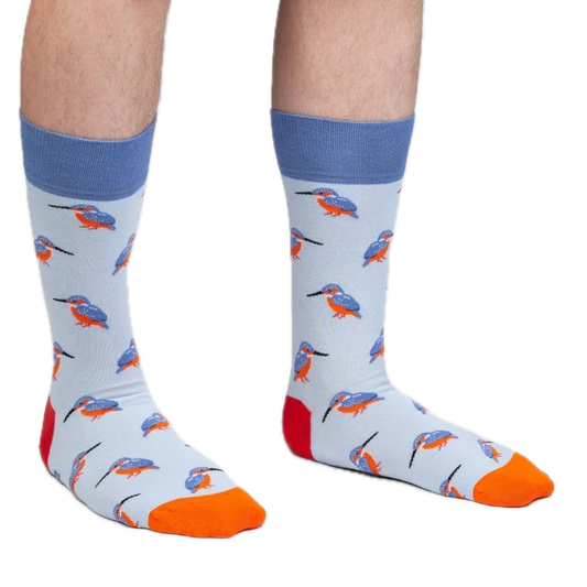 Socken mit Eisvogel DillySocks