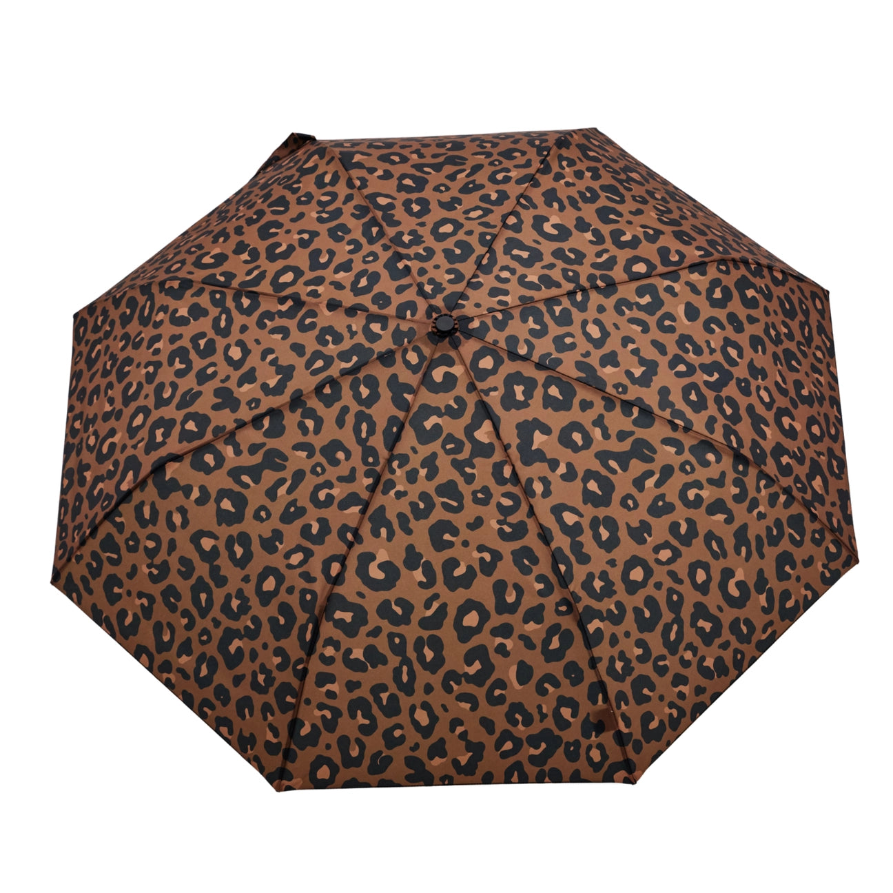 Umbrella Original Duckhead