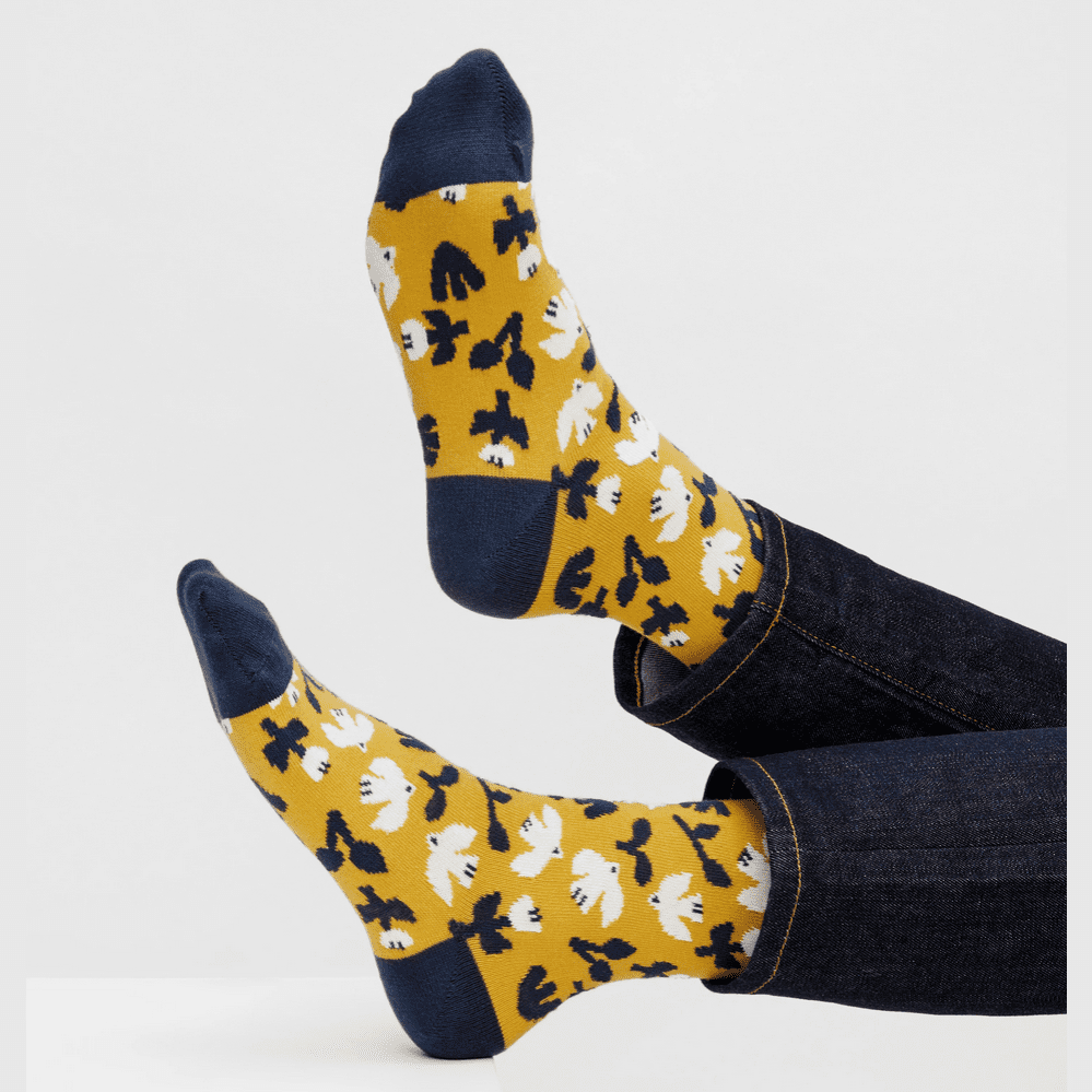 Vogel-Socken