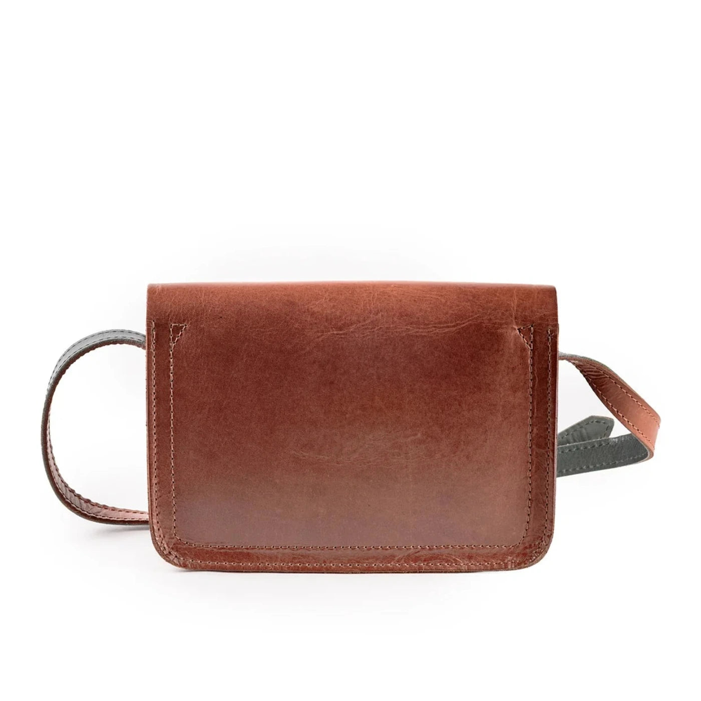 Abby Tasche Harold's