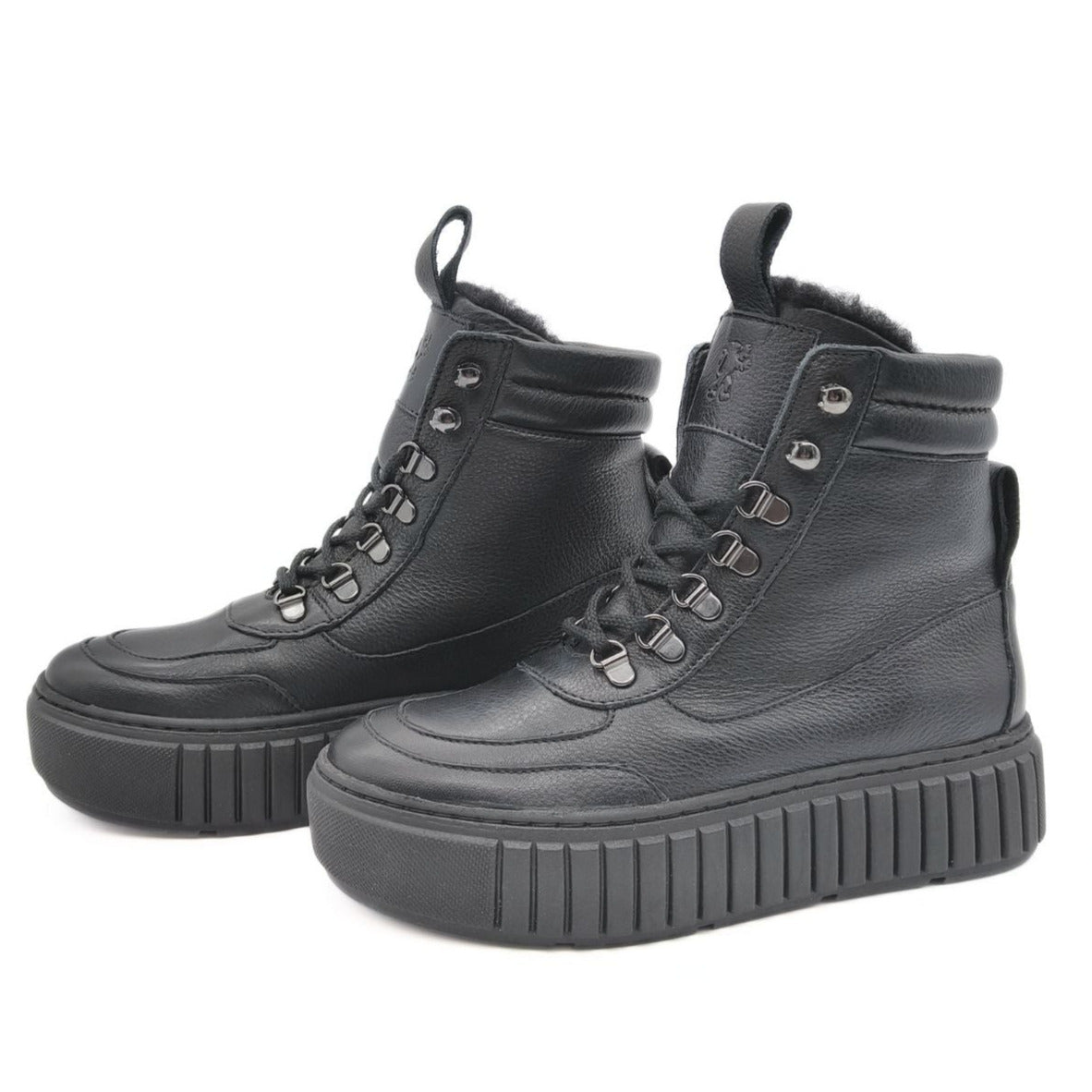 Winterboot Atlaslöwe