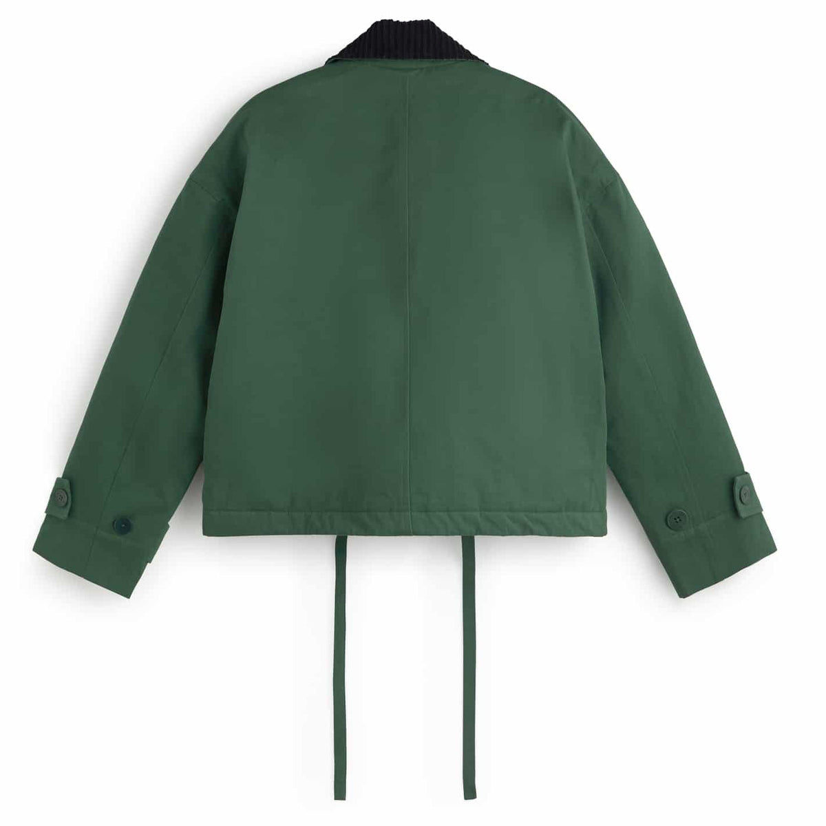 Norma Jacke