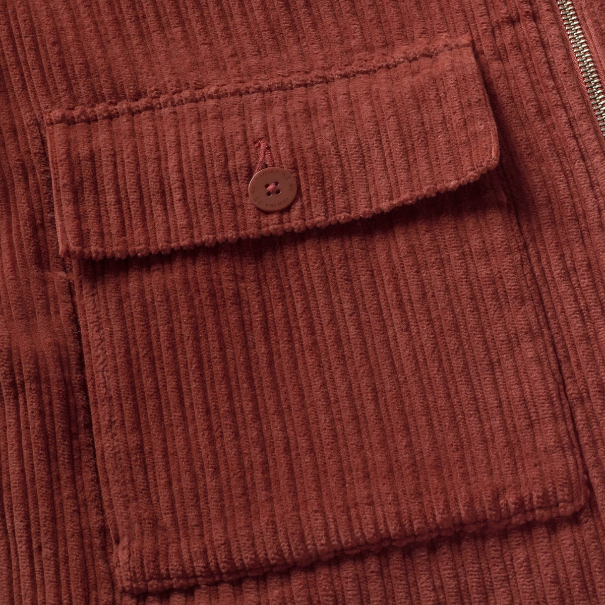 Delia Cord-Jacke